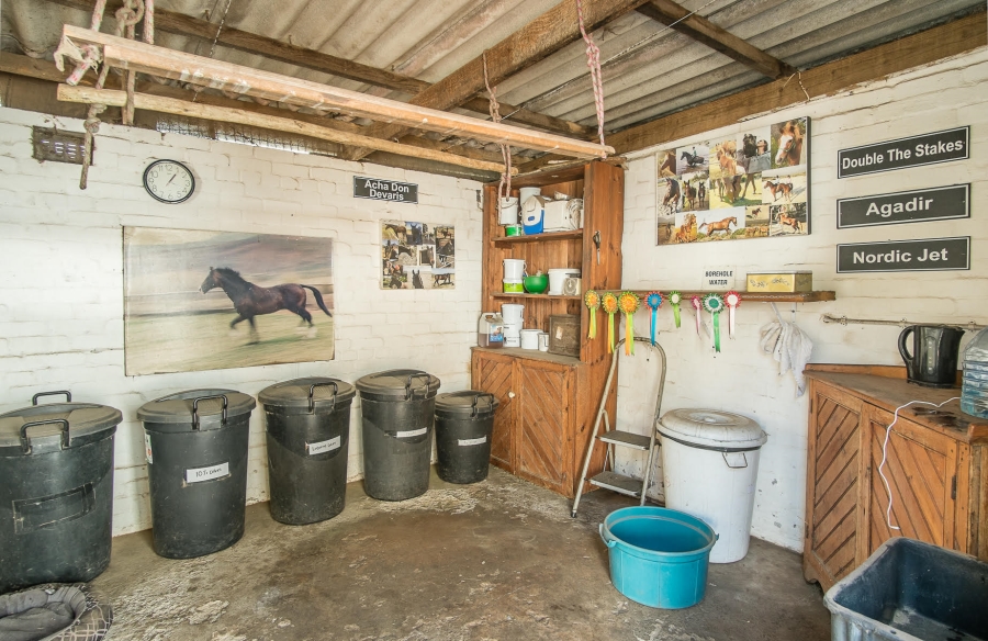 0 Bedroom Property for Sale in Chapman